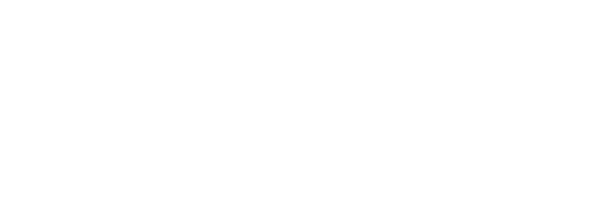 DSG
